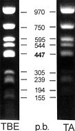 marker155